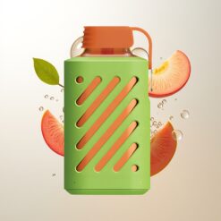 VOZOL GEAR 10000 Puffs 20ml E-liquid Peach Mango Watermelon Wholesale Australia