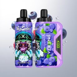 VapSolo VIKING 12000 Puffs 22ml Type-C Blueberry Wholesale Australia
