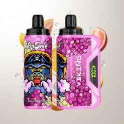 VapSolo VIKING 12000 Puffs 22ml Type-C Summer Dream Wholesale Australia