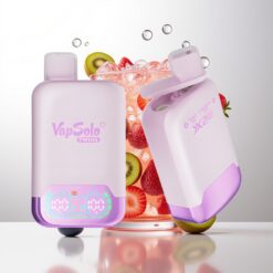 Vapsolo Twins 20000 Puffs 40ml Grape Ice & Strawberry Kiwi Wholesale Australia