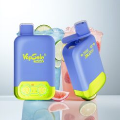 Vapsolo Twins 20000 Puffs 40ml Type-C Blue Razz Lemonade & Lemon Lime Wholesale Australia
