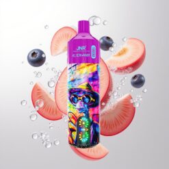 JNR Alien Max 18000 Puffs Dual Mesh Peach Blueberry Candy Wholesale Australia