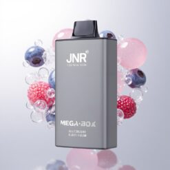 JNR Mega Box 25000 Puffs Dual Mesh Blueberry Bubblegum Wholesale Australia