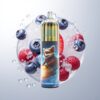 JNR Rocket-X 12400 Puffs 25ml 850mAh Blueberry Ice Wholesale Australia