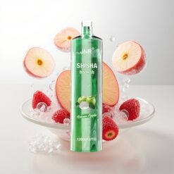 JNR Shisha Hookah 12000 Puffs 750mAh Frozen Apple Wholesale Australia