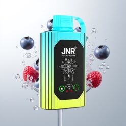 JNR Shisha Hookah Box 20500 Puffs Dual Mesh Coil Type-C Blueberry Mint Wholesale Australia